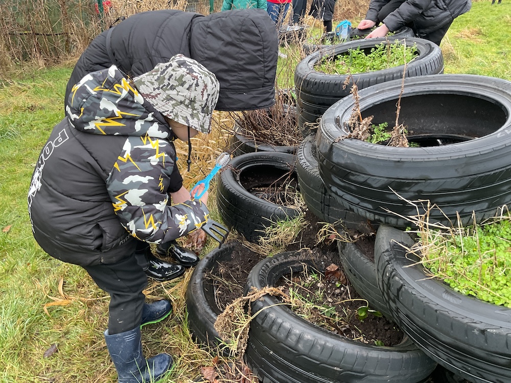 Middle School ... Forest School