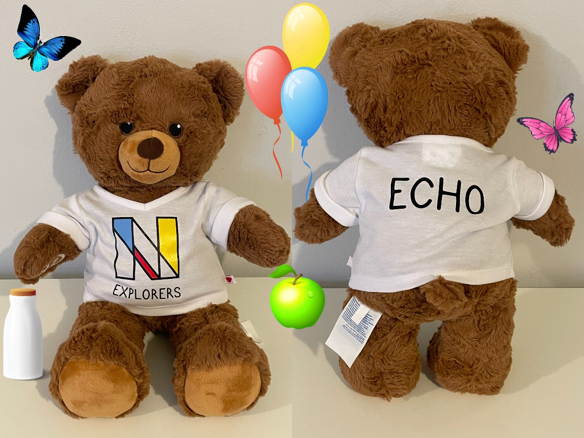 Introducing Echo the Explorer Bear