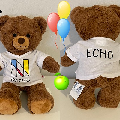 Introducing Echo the Explorer Bear