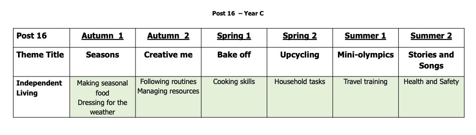 Independe t living skills example