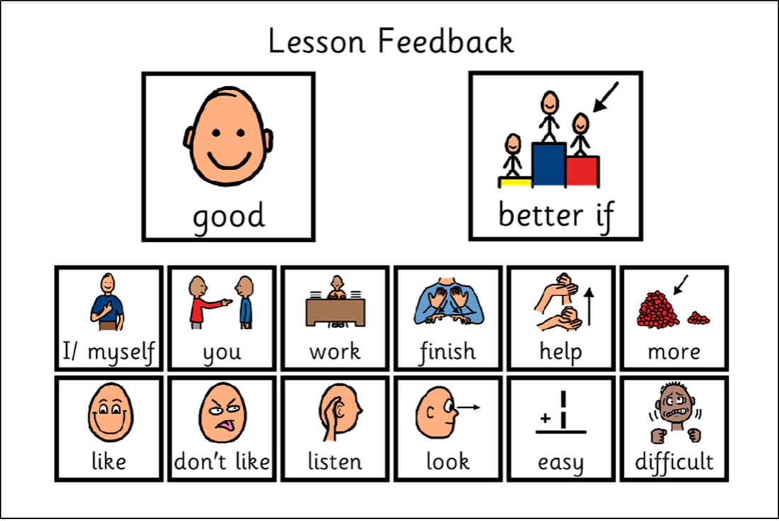 lesson feedback