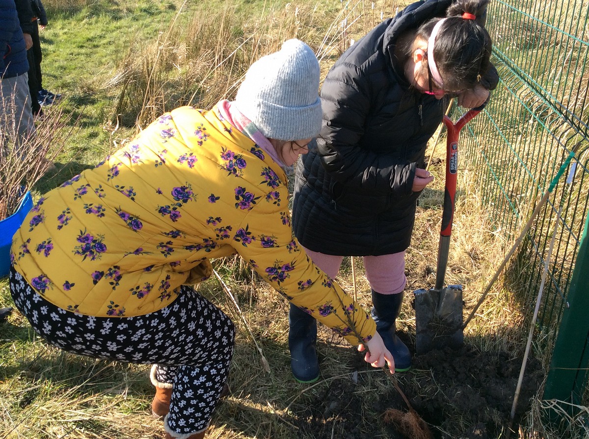Tree Planting with River Ribble Trust - part I